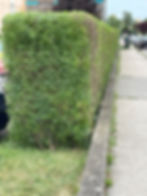 IMG-20230628-WA0000