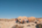 JTRetreat-9641.jpg