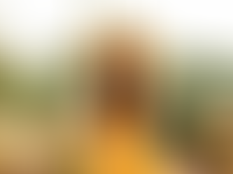 Manifest Your Dreams