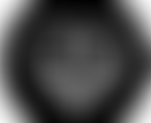 FCO - LICENSE AGREEMENT