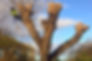 MC Garden & Landscaping
