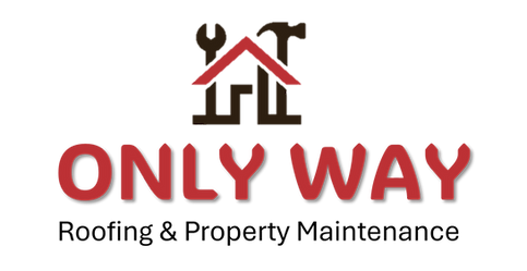onlyway logo.png
