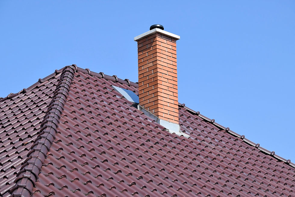 chimney-repair-installation-01_jpg - Copy - Copy - Copy - Copy - Copy - Copy - Copy - Copy