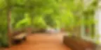 backyard-deck