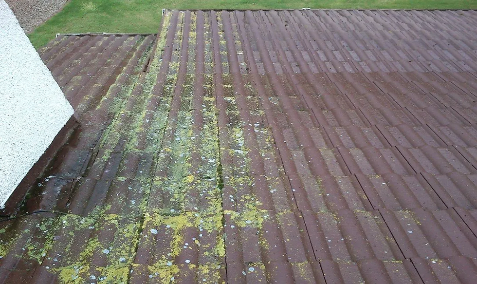 Empire Paving & Roofing Ltd