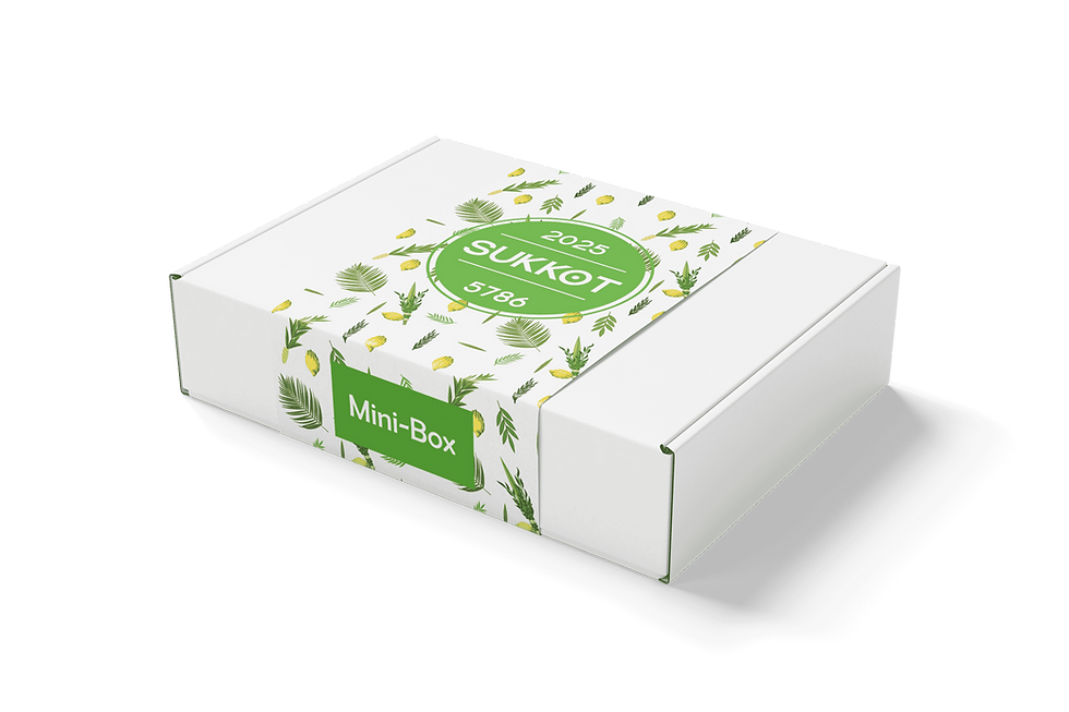 Miniaturbild: Sukkot Geschenkbox für Kleinkinder | Minibox ORIGINAL