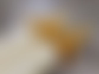 Die Makkabäerbücher