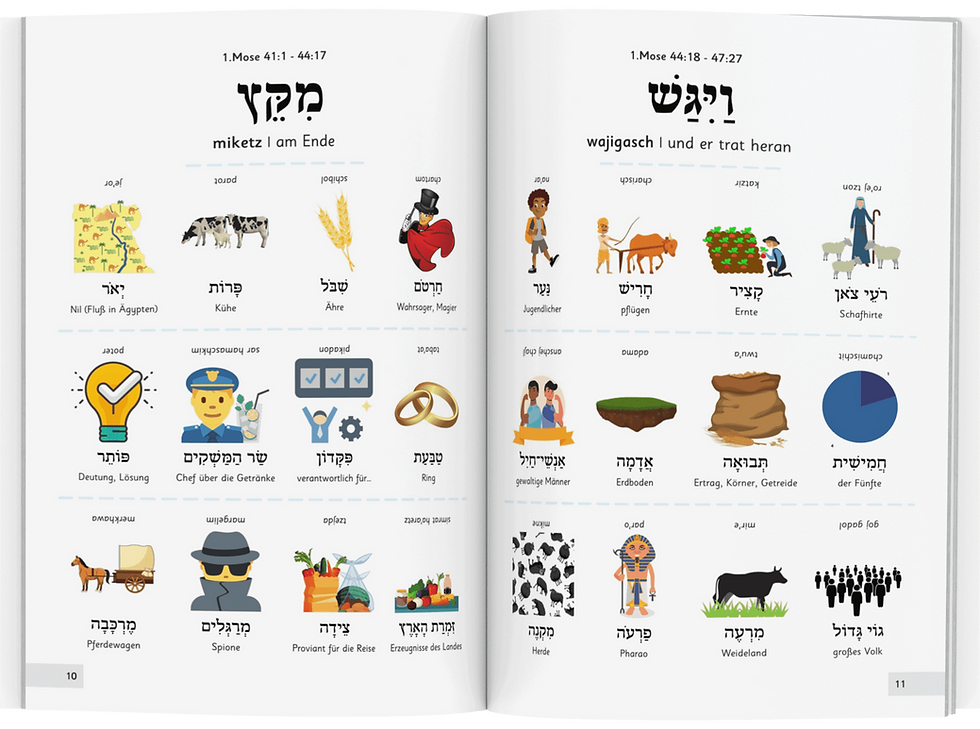 Thumbnail: The Torah with Shlomi Rimoni | Volume 1 | Parashah