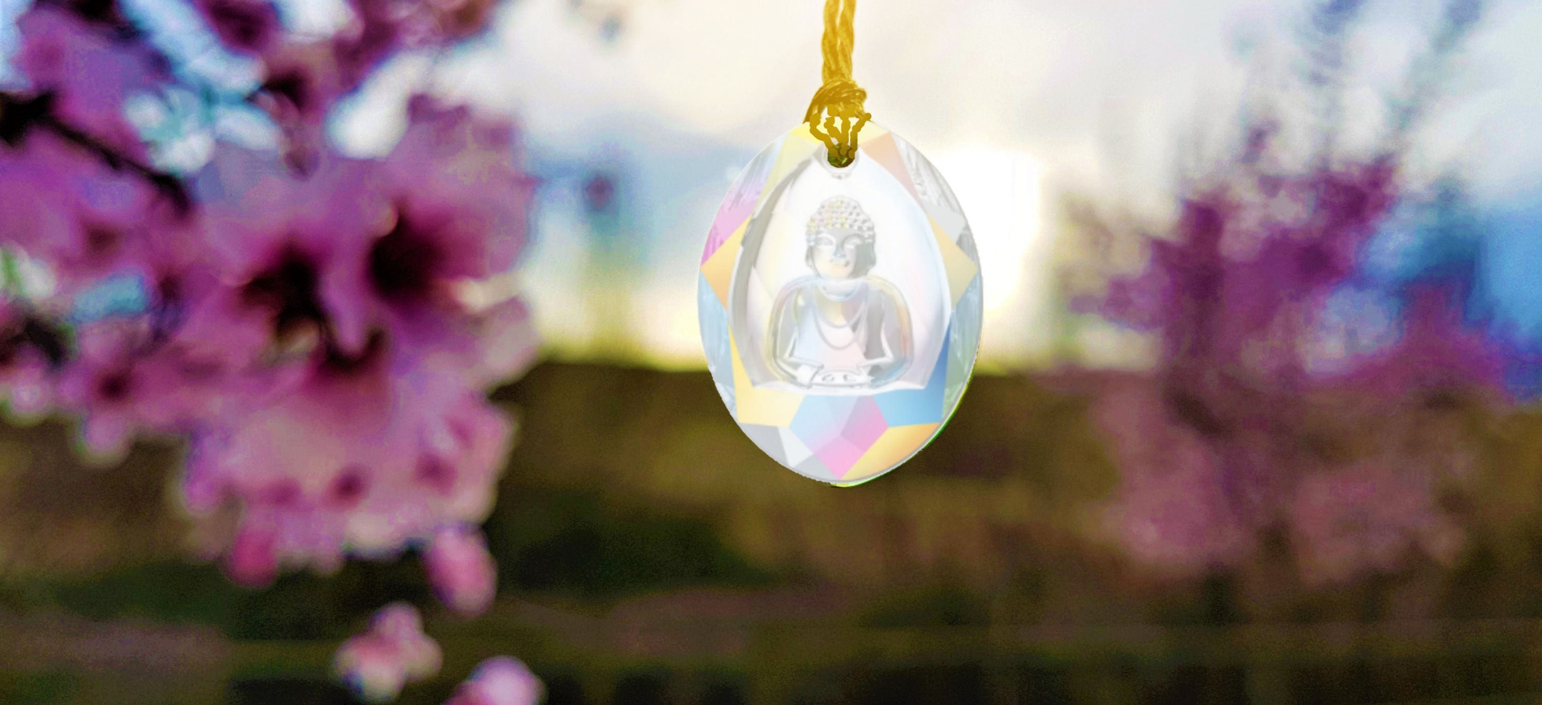 MAESTRO INTERIOR / INNER MASTER