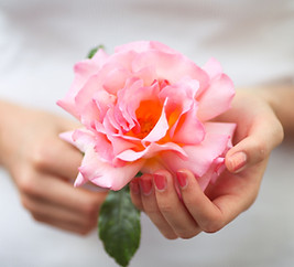 girl-holding-pink-coral-english-rose-royalty-free-image-1579856477.jpg