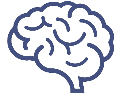 brain2.png