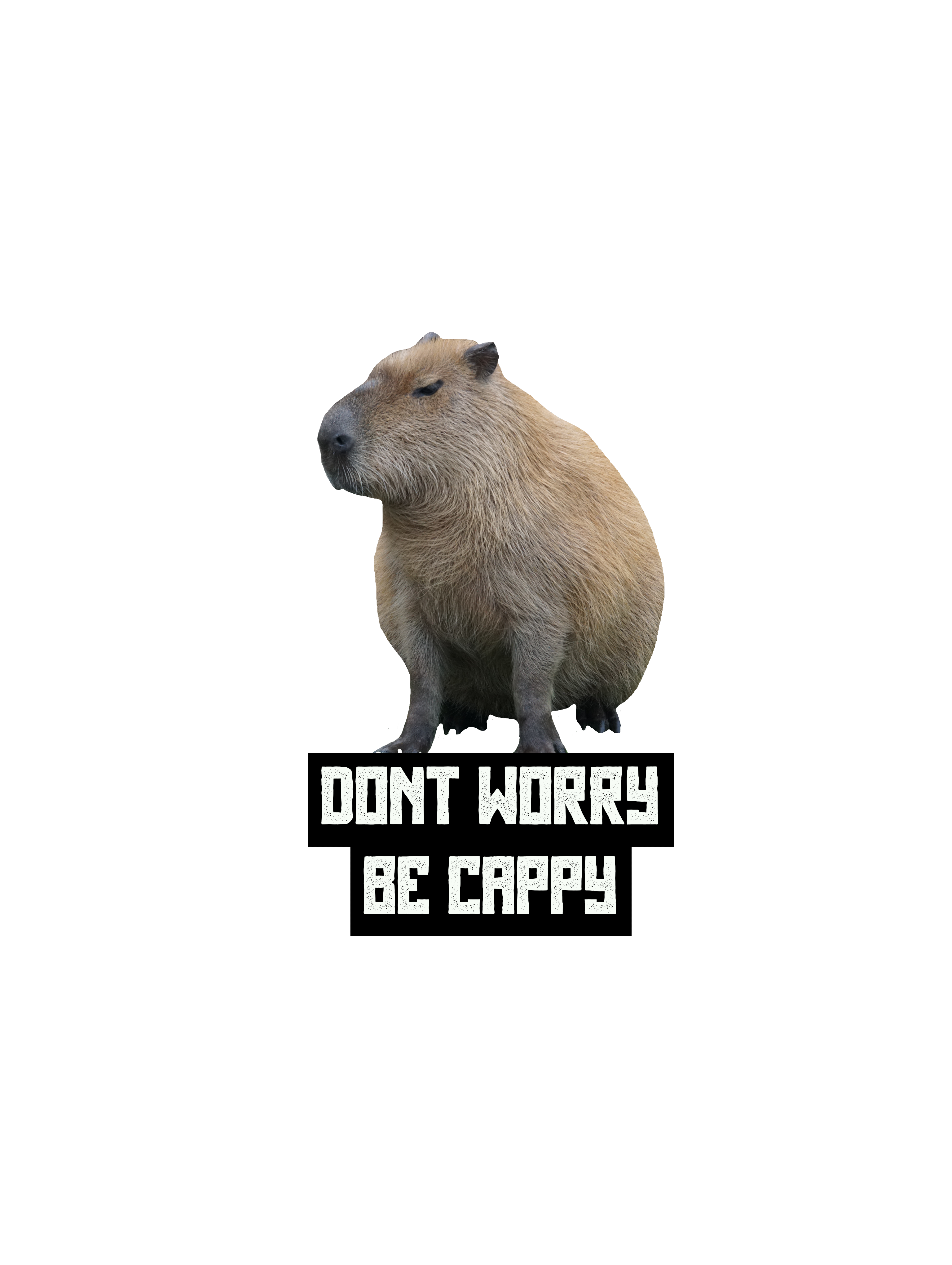 Cappy Premium Sticker