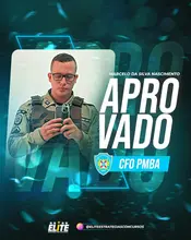 PSD1(51).webp