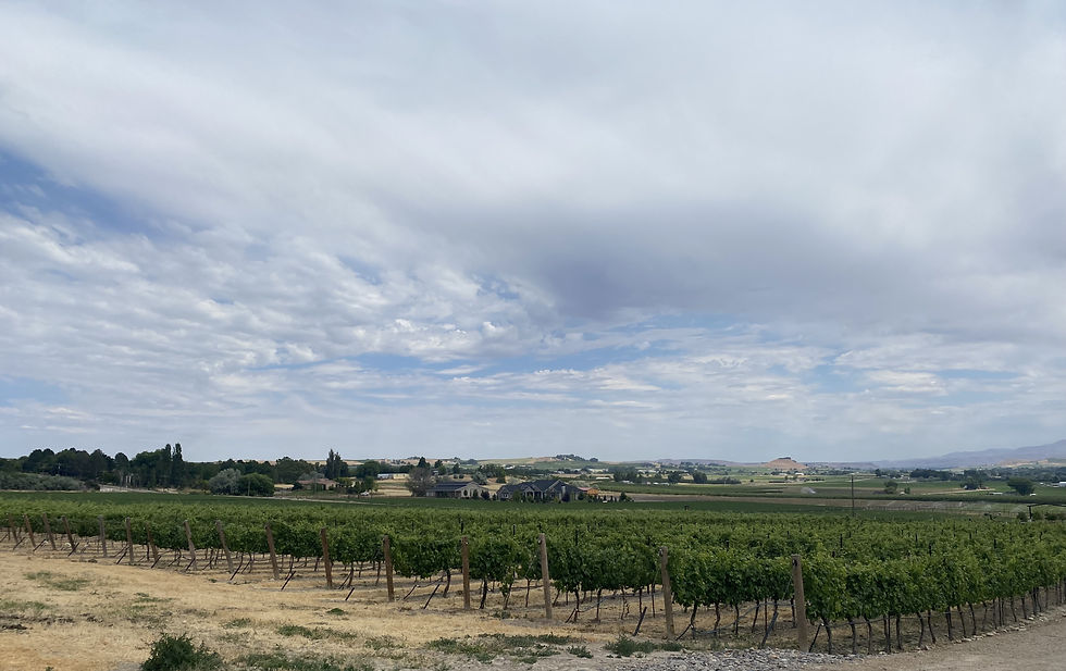 One of several wineries in Caldwell, ID