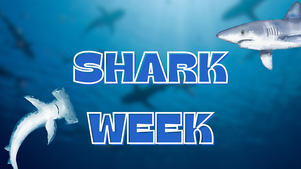 Shark Week🦈
