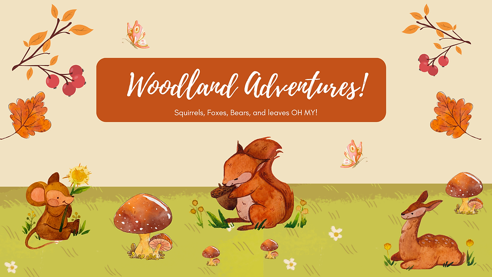 Woodland Adventures!ππͺ΅π²