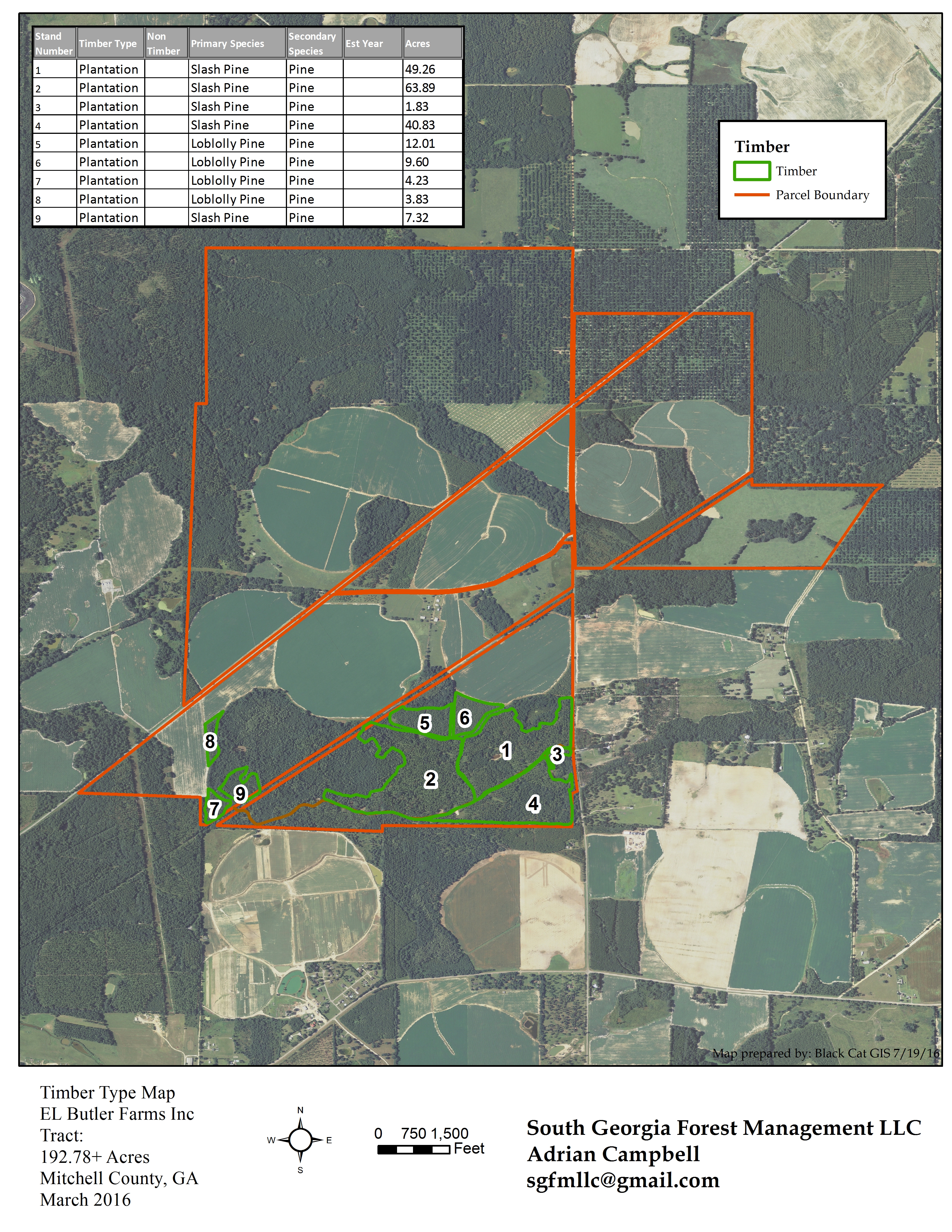 South Georgia Forest Mgmt