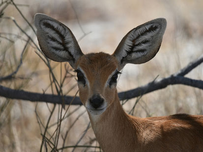 Mediation – wenn Zuhören mehr bewegt als Recht behalten