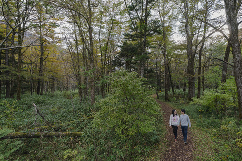 A couple walking together along a quiet forest path surrounded by autumn foliage in Kamikochi