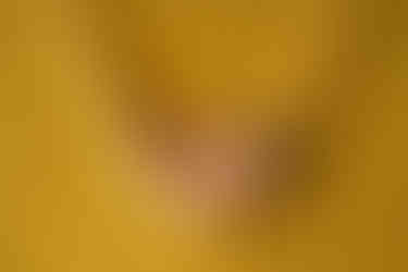 ハンモックでスヤスヤ寝てくれる赤ちゃんとニューボーンフォト