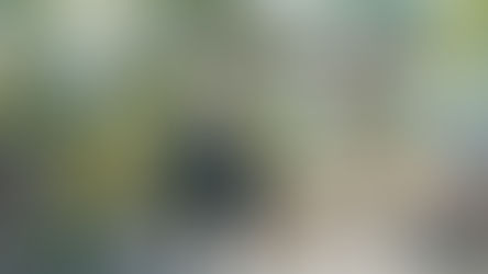 鶴岡八幡宮 七五三写真｜１０月の鎌倉での出張撮影から