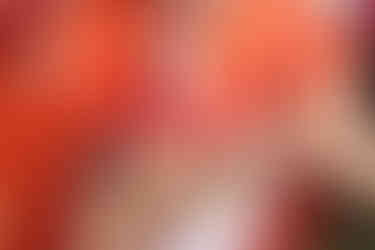 七五三の着物の帯を整える様子｜七歳のお祝いの着付け