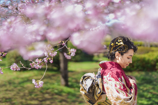     桜の花越しに撮影した振袖姿の成人式ポートレート