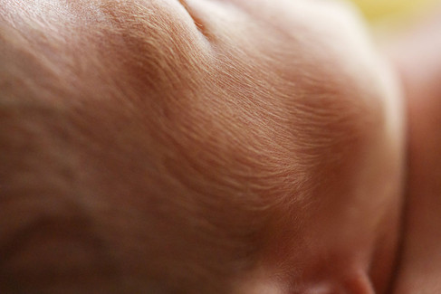 ニューボーンフォト パーツ写真