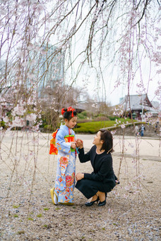 桜満開の増上寺で七五三撮影