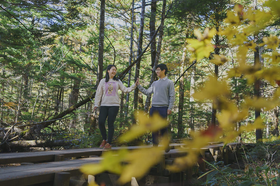 A couple walking hand in hand on a wooden path in the forest of Kamikochi, Japan during autumn