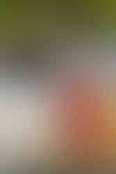 境内の木陰で母親と並んで座る七五三の女の子|赤坂日枝神社10月撮影