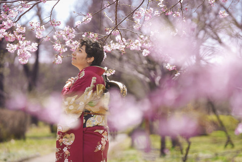    桜に囲まれて撮影した赤い振袖の成人式ポートレート