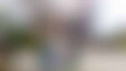 増上寺 - 桜満開の境内での七五三詣り