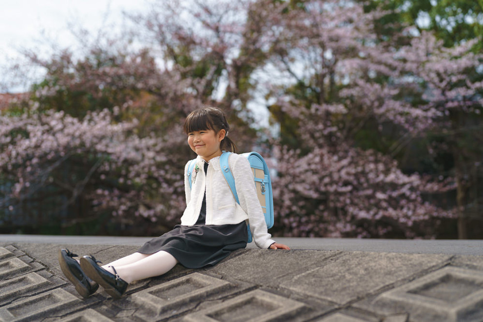 桜並木を背景に座るランドセル姿の女の子の入学記念写真