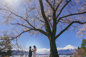 Wedding photo with cherry blossoms and Mt Fuji