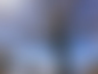 Wedding photo with cherry blossoms and Mt Fuji