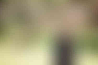 桜の木の下に立つ新郎。黒紋付き袴の姿が凛々しく、花嫁の地毛結い日本髪とともに和装前撮りを引き立てる。