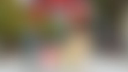 富岡八幡宮での姉妹七五三