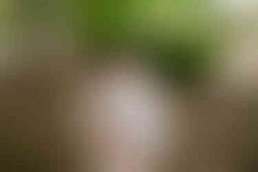 公園でのお宮参り