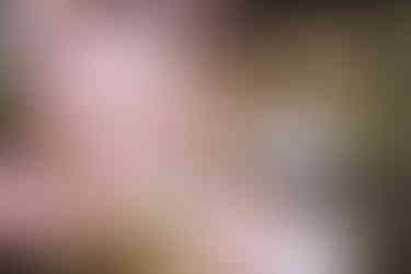 sakura photo session in Yamanashi