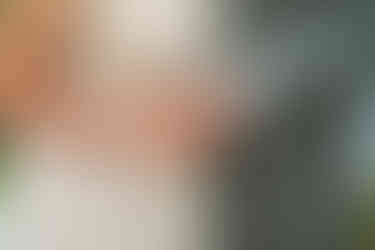 Wedding photography at a Japanese garden in Tokyo