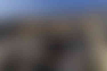 和歌浦の神社鳥居前で撮影した振袖姿の成人式前撮りロケーション撮影