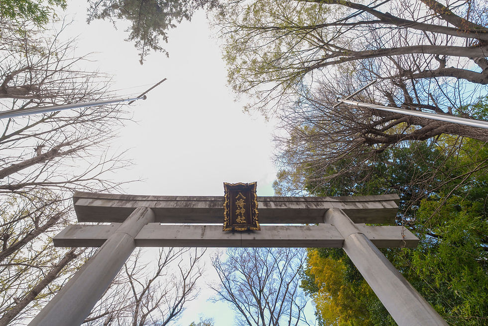荻窪八幡宮の大鳥居を見上げた風景