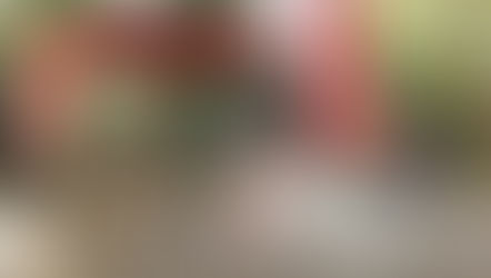 上目黒氷川神社での七五三撮影