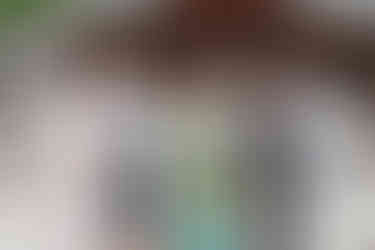 立川市 諏訪神社のお宮参り|本殿前で祖父母に囲まれる赤ちゃんと家族写真