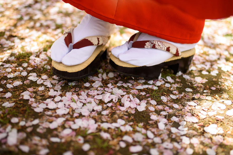桜の花びらの絨毯に立つ花嫁の足元。高下駄と白足袋が和装前撮りの風情をより一層引き立てる。