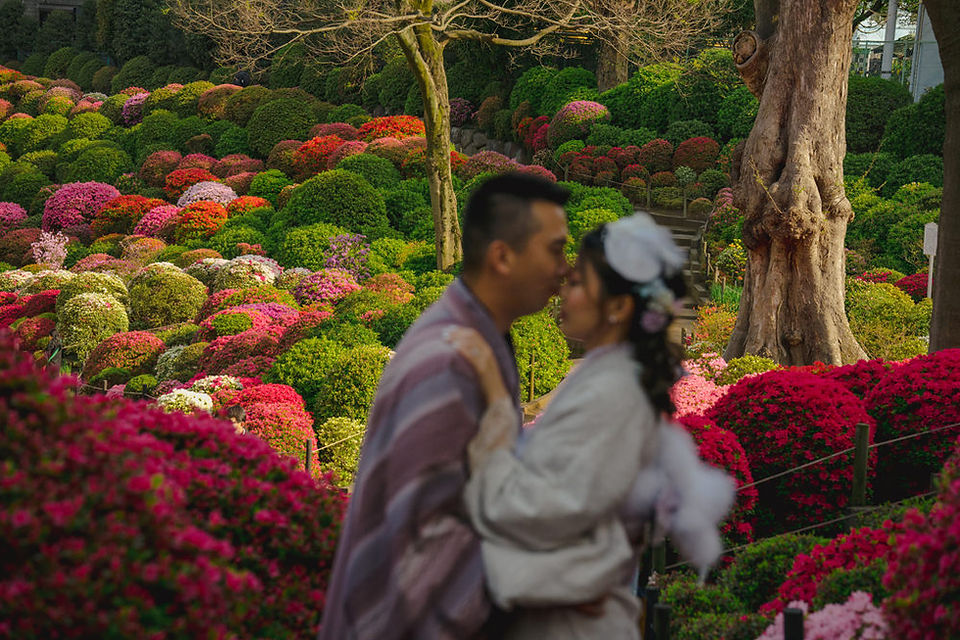 Nezu shrine during azalea festival