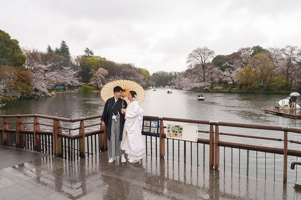 井の頭公園の池を背景に、雨の中で寄り添う和装の新郎新婦の桜前撮り写真。