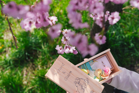 Handmade proposal ring box decorated with flowers beneath cherry blossoms during a Mt. Fuji proposal in Japan
