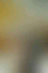 ホテルのガーデンタワーで前撮り